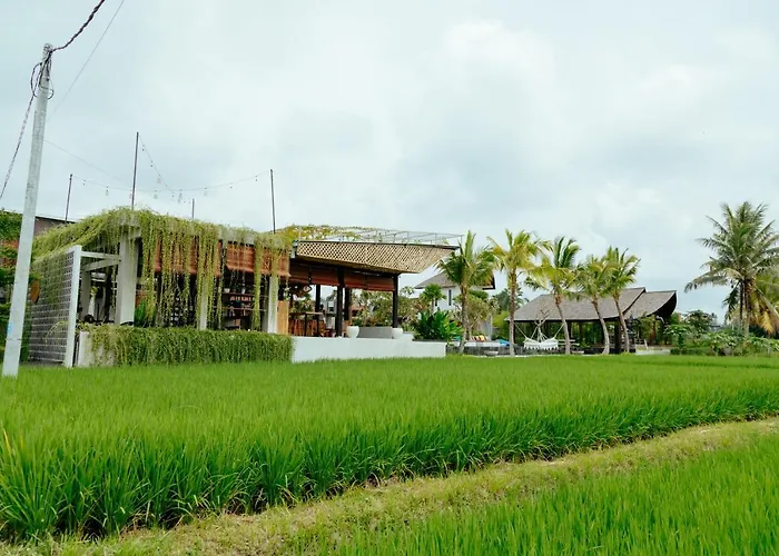 Podpadi Design Spaces Ubud * Ubud