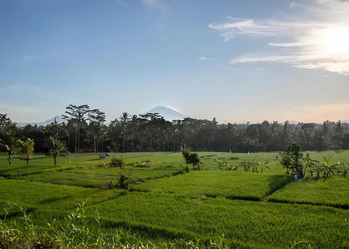 Villa Podpadi Design Spaces Ubud *
