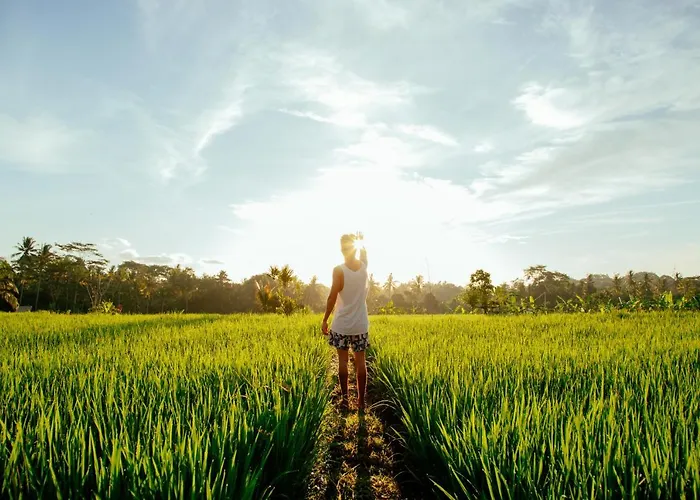 Podpadi Design Spaces Ubud Ubud