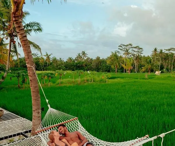 Podpadi Design Spaces Ubud Ubud
